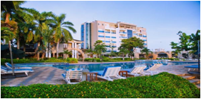 Ship Diagonal pliers