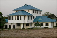 Firing trigger mechanism